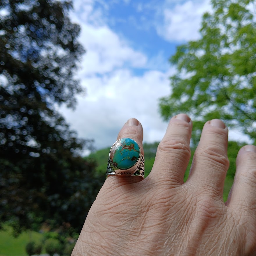 Hand wearing a ring with a turquoise stone against a natural background