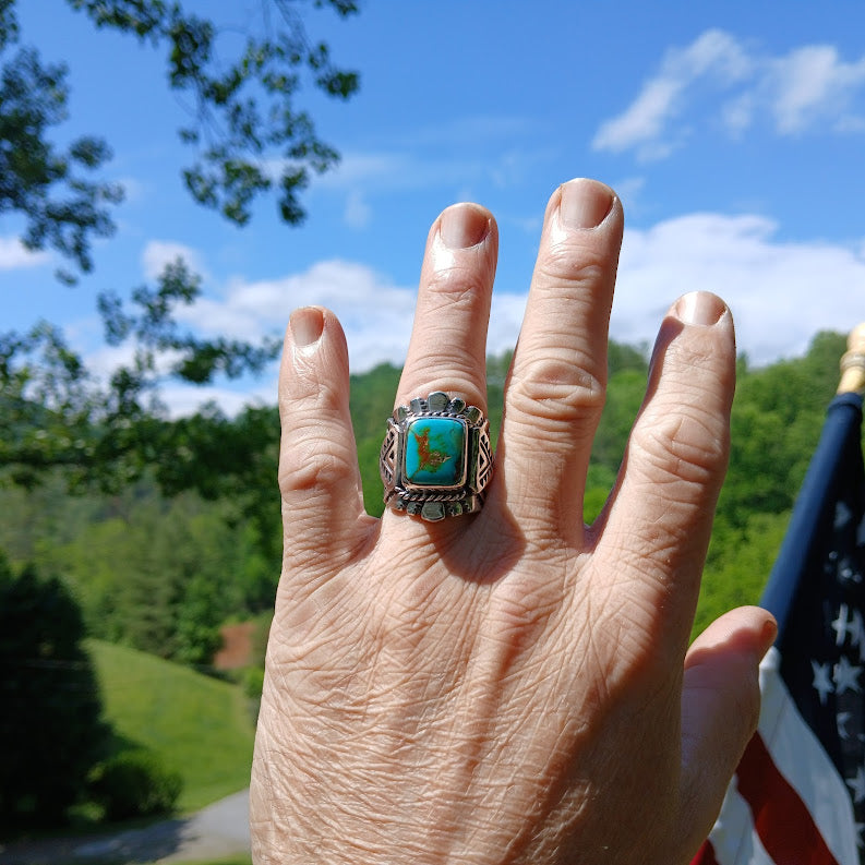 Hand wearing a ring with a turquoise stone and green inlays against a scenic background