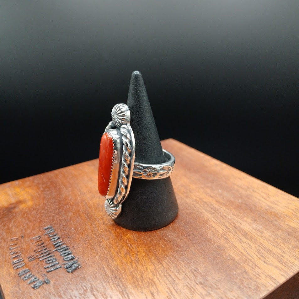 The Cardinal — face-on, black cone, warm tones, third coral variant